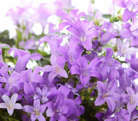 Similar image 8474139