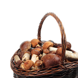 Similar image 8474140