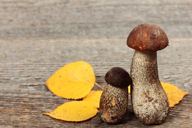 Similar image 8474142