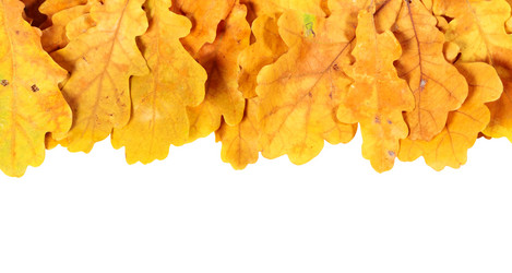 Similar image 8474143