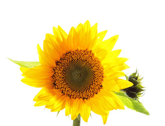 Similar image 8474144