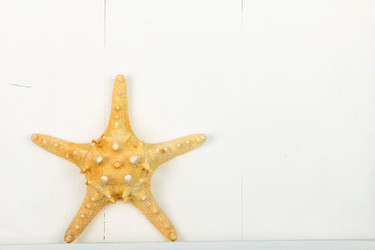 Similar image 8474146