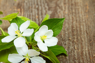 Similar image 8474151