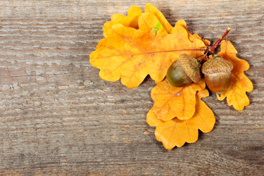 Similar image 8474154