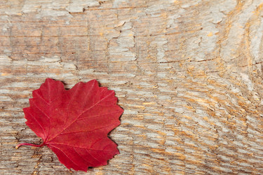 Similar image 8474197