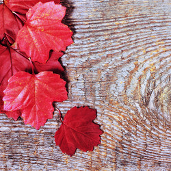 Similar image 8474201