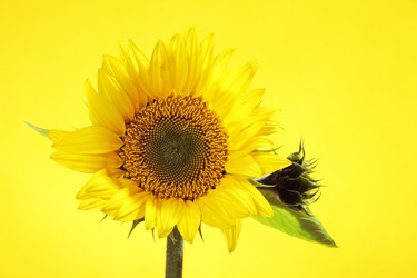 Similar image 8474203