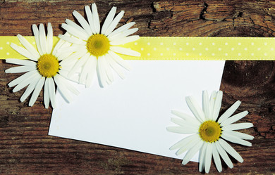 Similar image 8474206