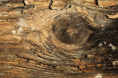 Similar image 8474209