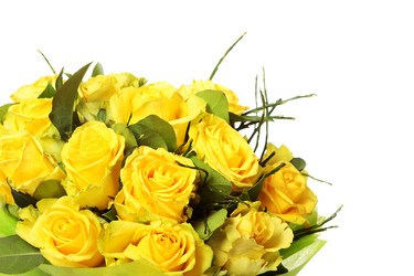 Similar image 8474211