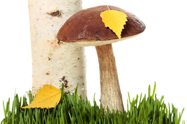 Similar image 8474222