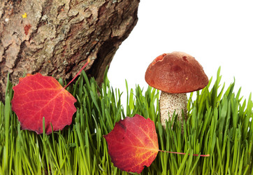 Similar image 8474224