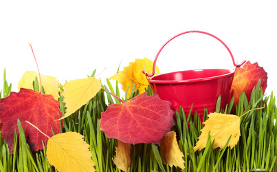 Similar image 8474226