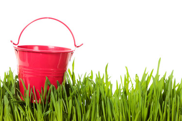 Similar image 8474229