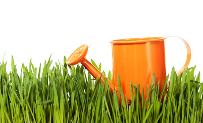 Similar image 8474231