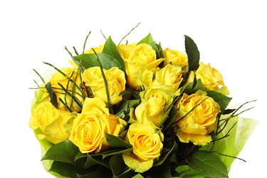 Similar image 8474233