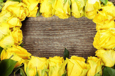 Similar image 8474239