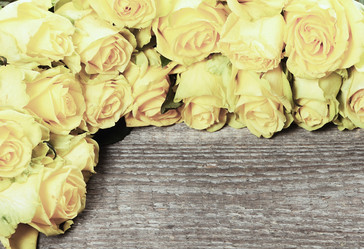 Similar image 8474243