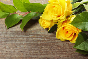 Similar image 8474245