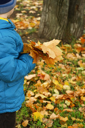 Similar image 8475038