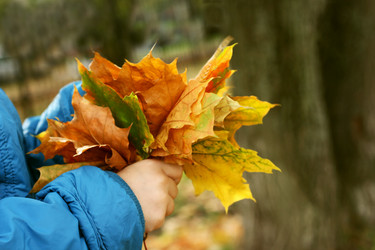 Similar image 8475039