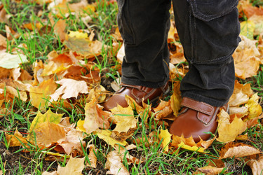 Similar image 8475040