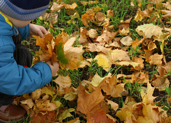 Similar image 8475041