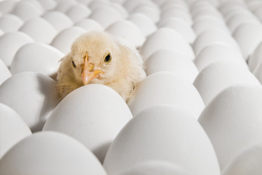 Similar image 8475205