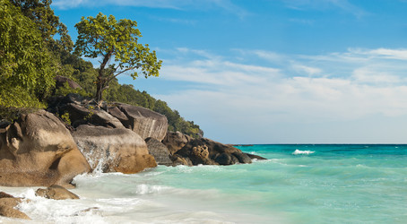 Similar image 8475266