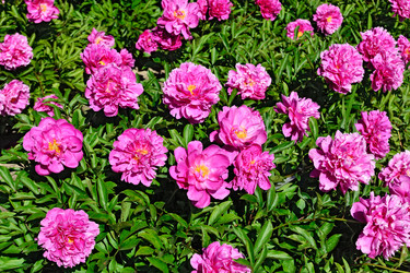 Similar image 8476247