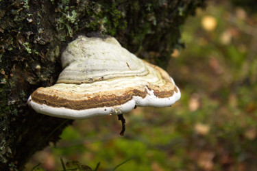 Similar image 8476253