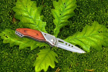 Similar image 8476277