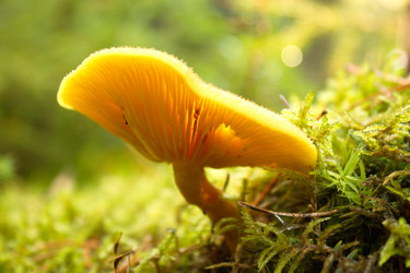 Similar image 8476279