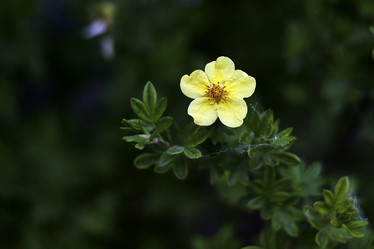 Similar image 8476291