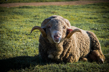 Similar image 8476299