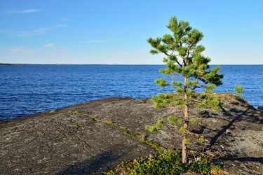 Similar image 8476306