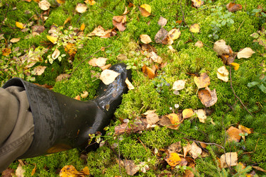 Similar image 8476313