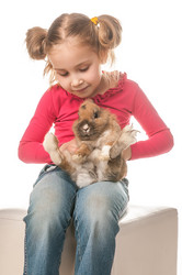 Similar image 8476347