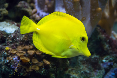 Similar image 8476436