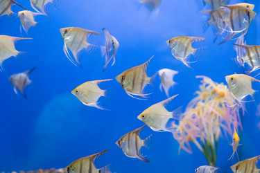 Similar image 8476490