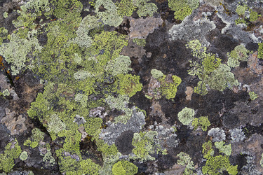 Similar image 8476500