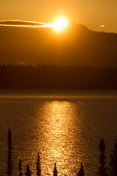 Similar image 8476548