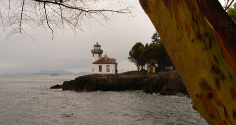 Similar image 8476573