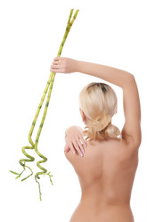 Similar image 8476804