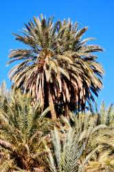 Similar image 8477188