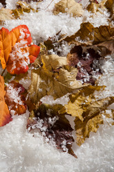 Similar image 8478738