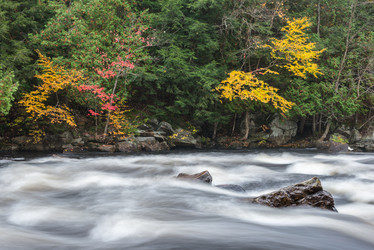 Similar image 8478799