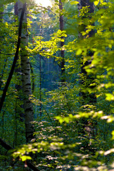 Similar image 8479415