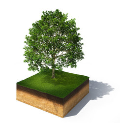 Similar image 8479524