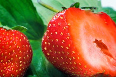 Similar image 8480114